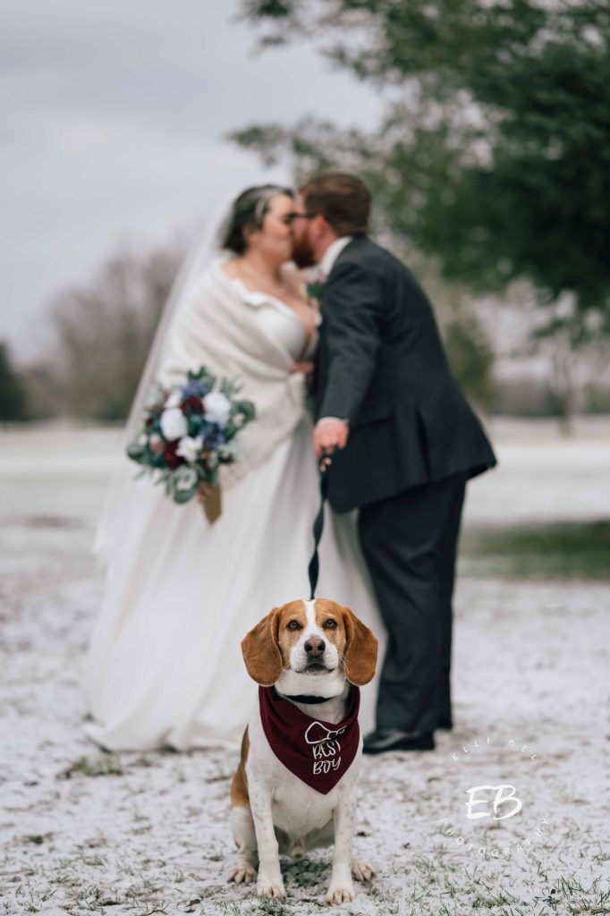 bride and groom kissing and a dog in front of them